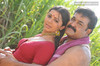 Malayalam Movie Bhramaram Photos   2 